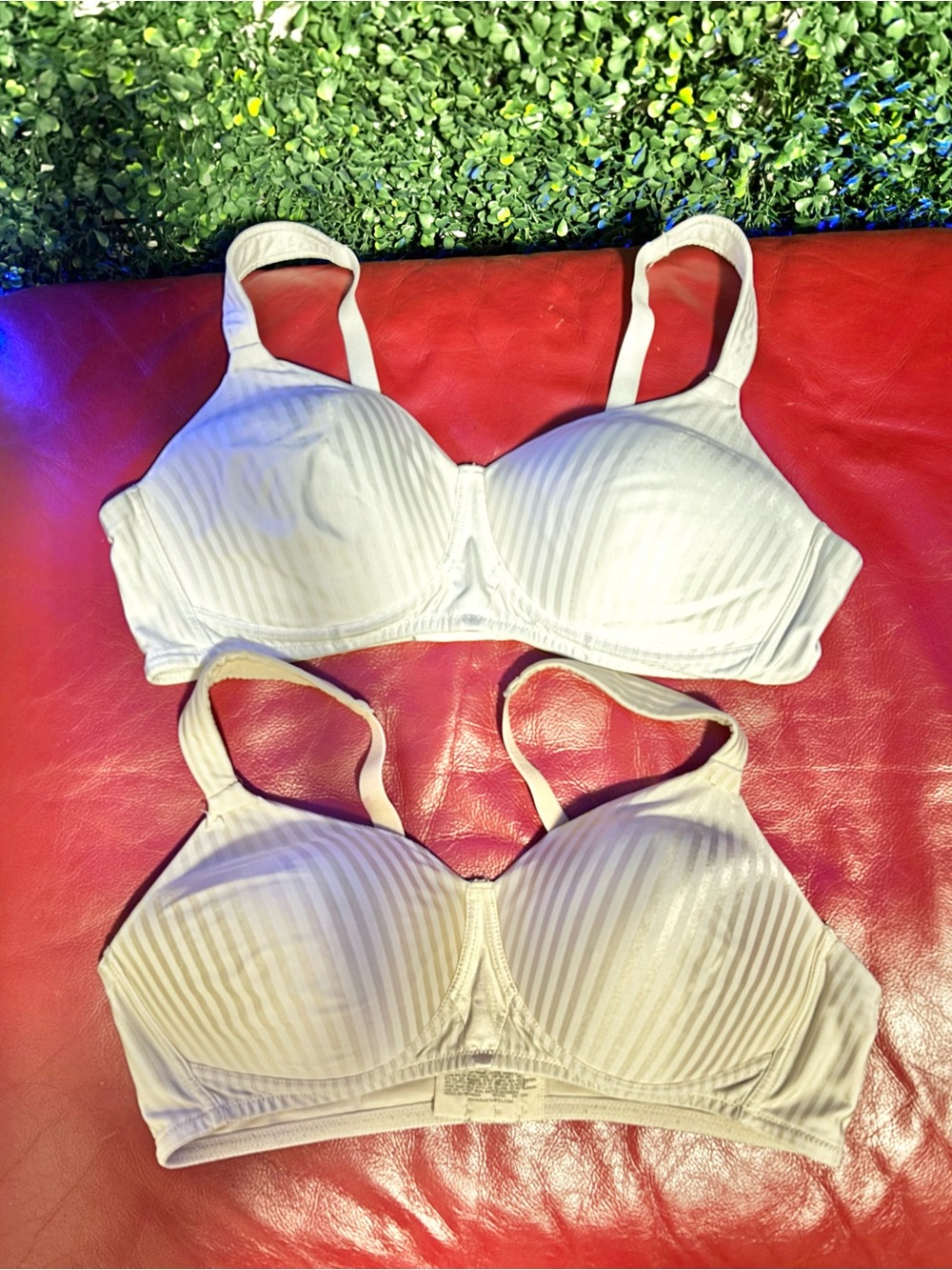 Playtex White & Beige Striped Padded T-Shirt Bra Duo